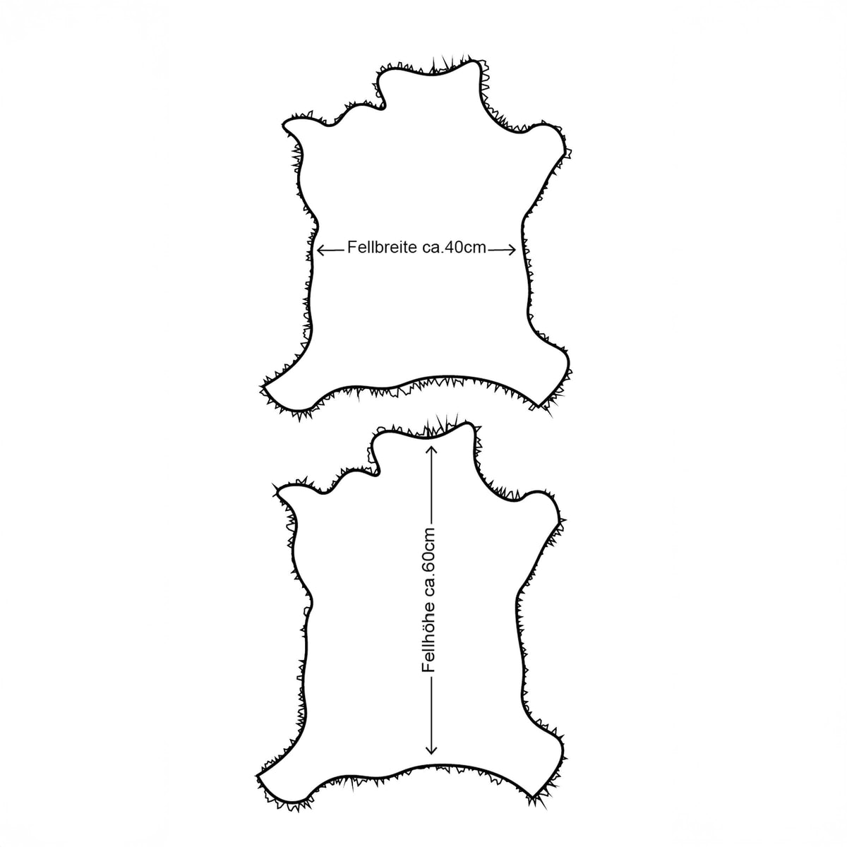 braun